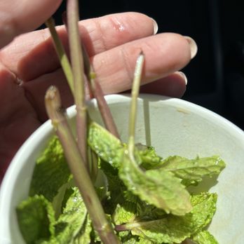 Philz Coffee - It's like the whole plant was in there - Coffee & Tea Near Me - Fremont, California Philz Coffee - It's like the whole plant was in there - Coffee & Tea Near Me - Fremont, California