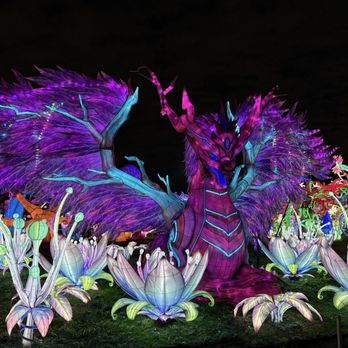 Tianyu Lights Featival - Festivals Near Me - Grand Prairie, Texas Tianyu Lights Featival - Festivals Near Me - Grand Prairie, Texas