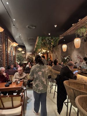 Elephant Ear by null