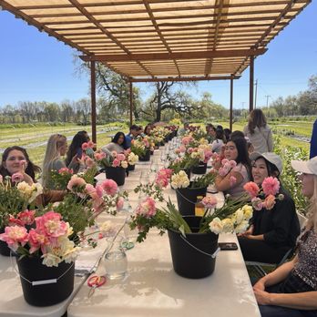Poppies & Petals Farm - Pick Your Own Farms Near Me - Santa Rosa, California