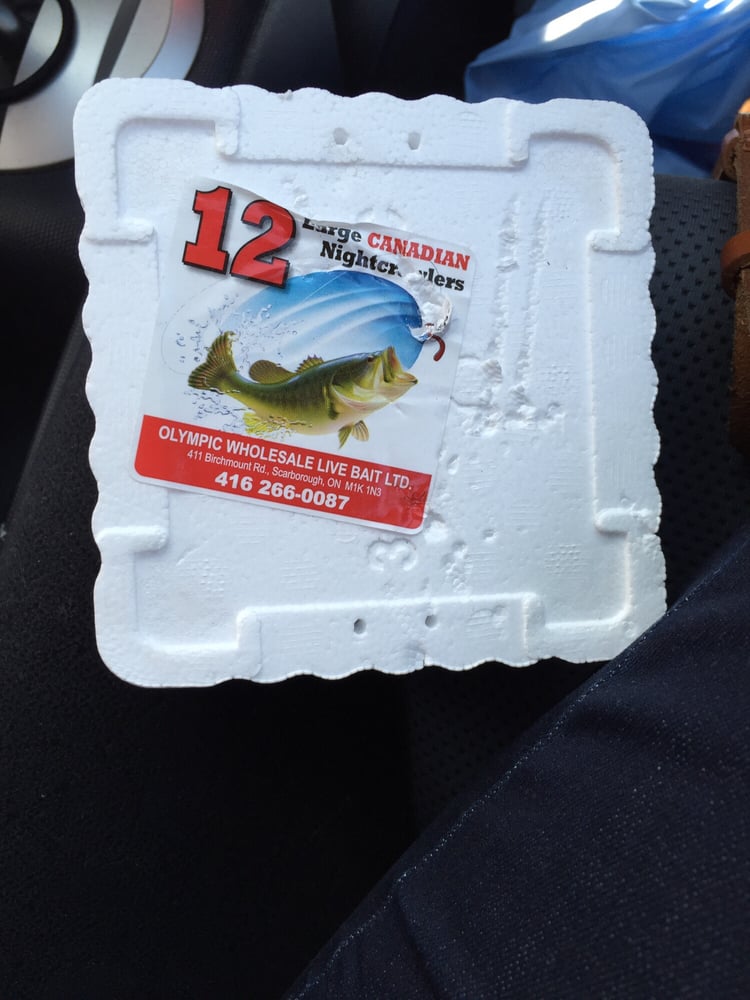 CONTINENTAL BAIT & TACKLE Updated August 2024 1065 Park Ave