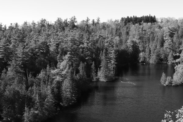 Rockwood Conservation Area by null