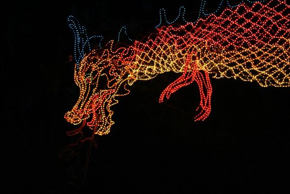 Garden d’Lights by null