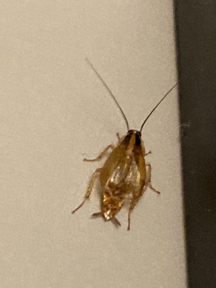 PARK VICTORIA APARTMENTS Updated September 2024 13 Photos & 20