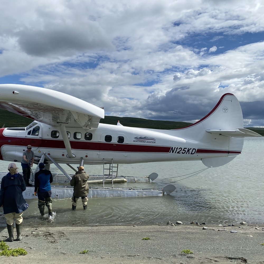 Northwind Aviation - Tours Near Me - Homer, Alaska Northwind Aviation - Tours Near Me - Homer, Alaska
