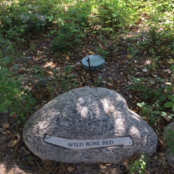 La Casita Del Arroyo - Nothing in bloom yet but cute rock! - Venues & Event Spaces Near Me - Pasadena, California