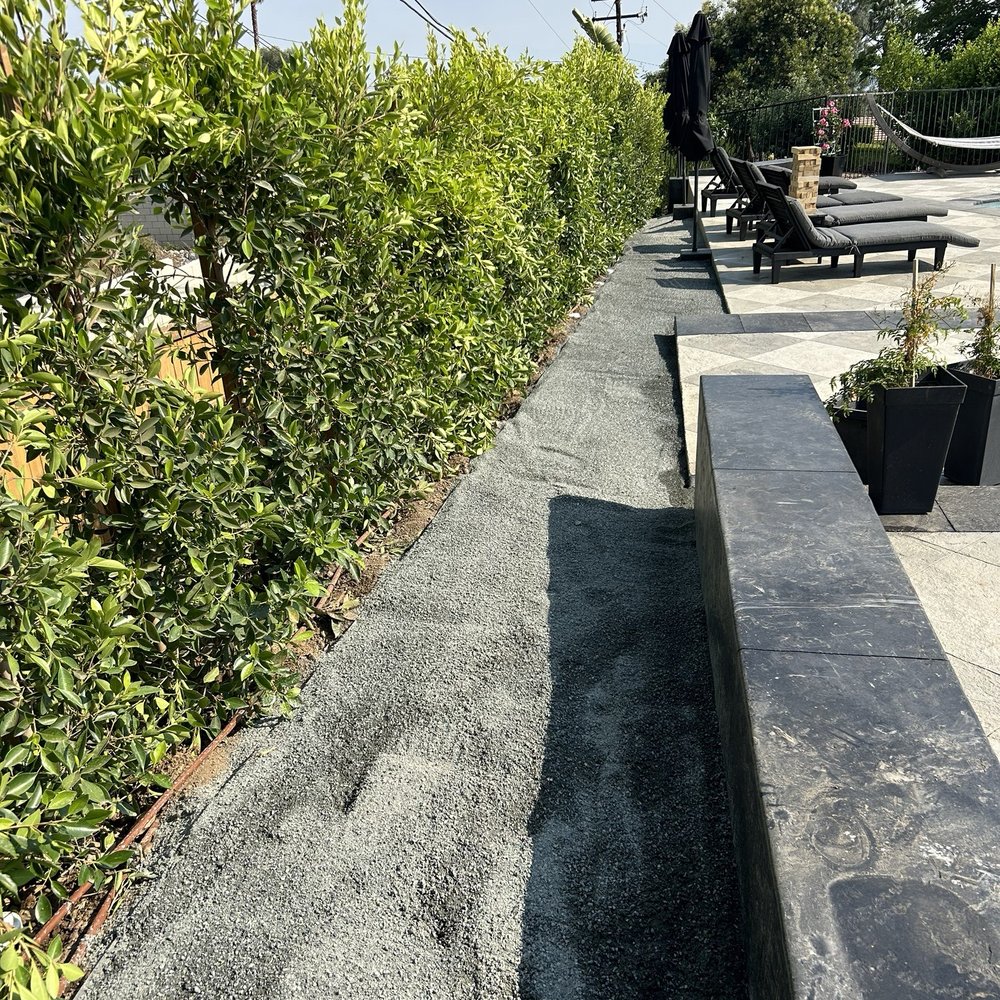 Green Ivy Maintenance - Indian Laurels & DG - Landscaping Near Me