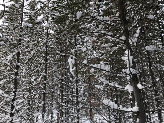 The Hole Hiking Experience by null