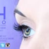 The Lash Studio gift card