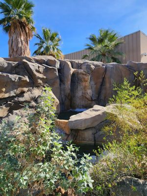Agua Caliente Cultural Museum by null