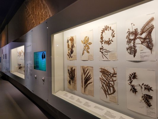 Lee Kong Chian Natural History Museum, Singapore by null