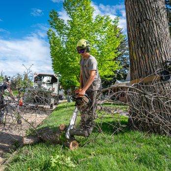 Blue River Forestry & Tree Care - Tree Services Near Me - Boulder, Colorado