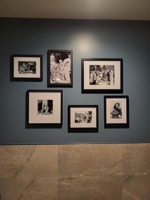 Trani's Dockside Station by null