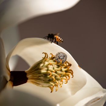 Sierra Moon - All things bridal! - Jewelry Near Me - Auburn, California