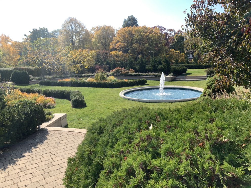 Cove Tax Appeal - property tax consultant in Chicago, IL