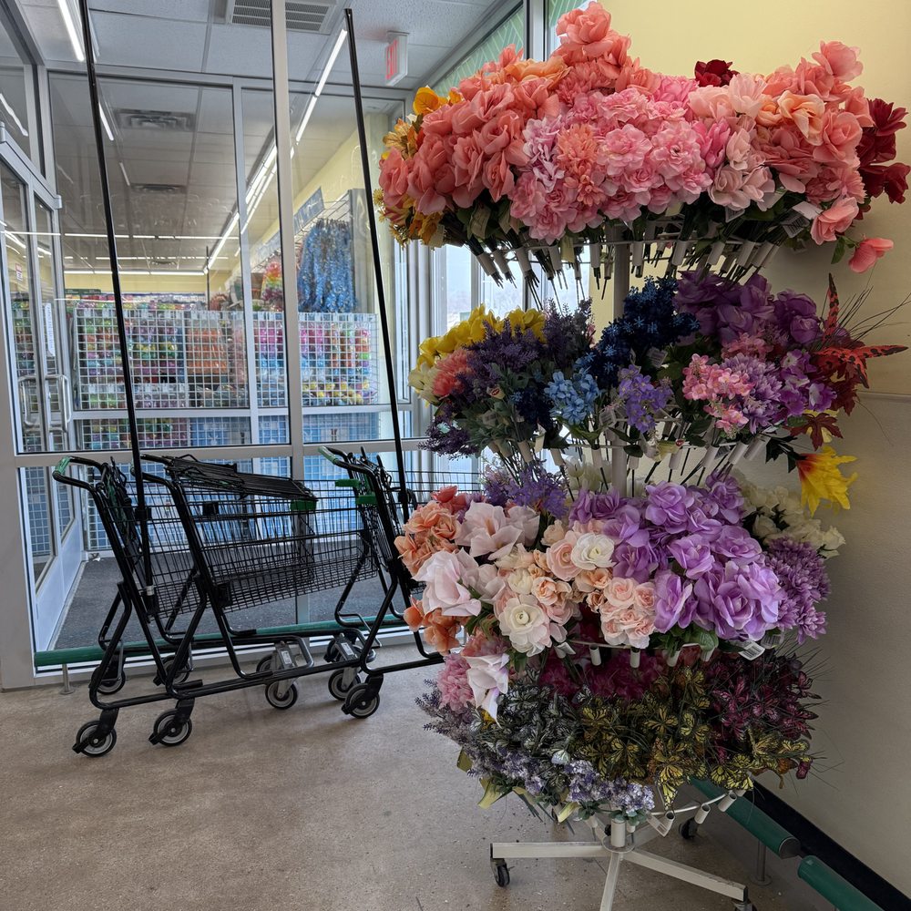 Dollar Tree - Discount Store Near Me - Des Plaines, Illinois