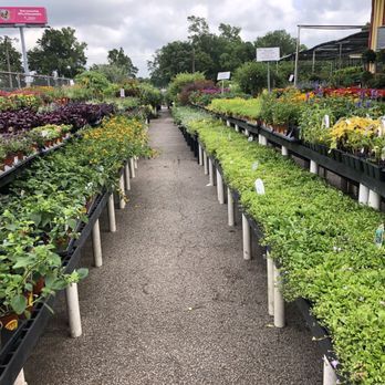 Houston Garden Centers - Nurseries & Gardening Near Me - Conroe, Texas Houston Garden Centers - Nurseries & Gardening Near Me - Conroe, Texas