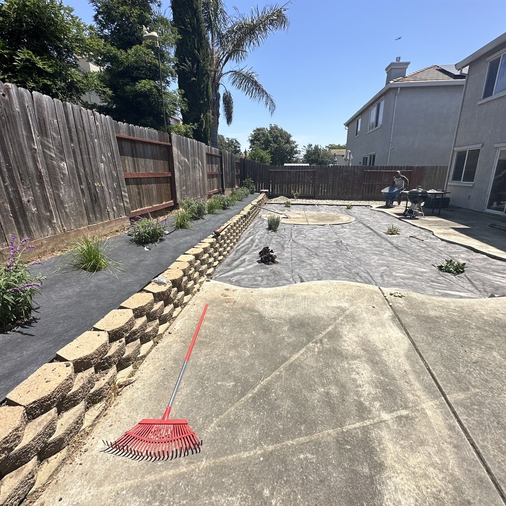 Backyard progress