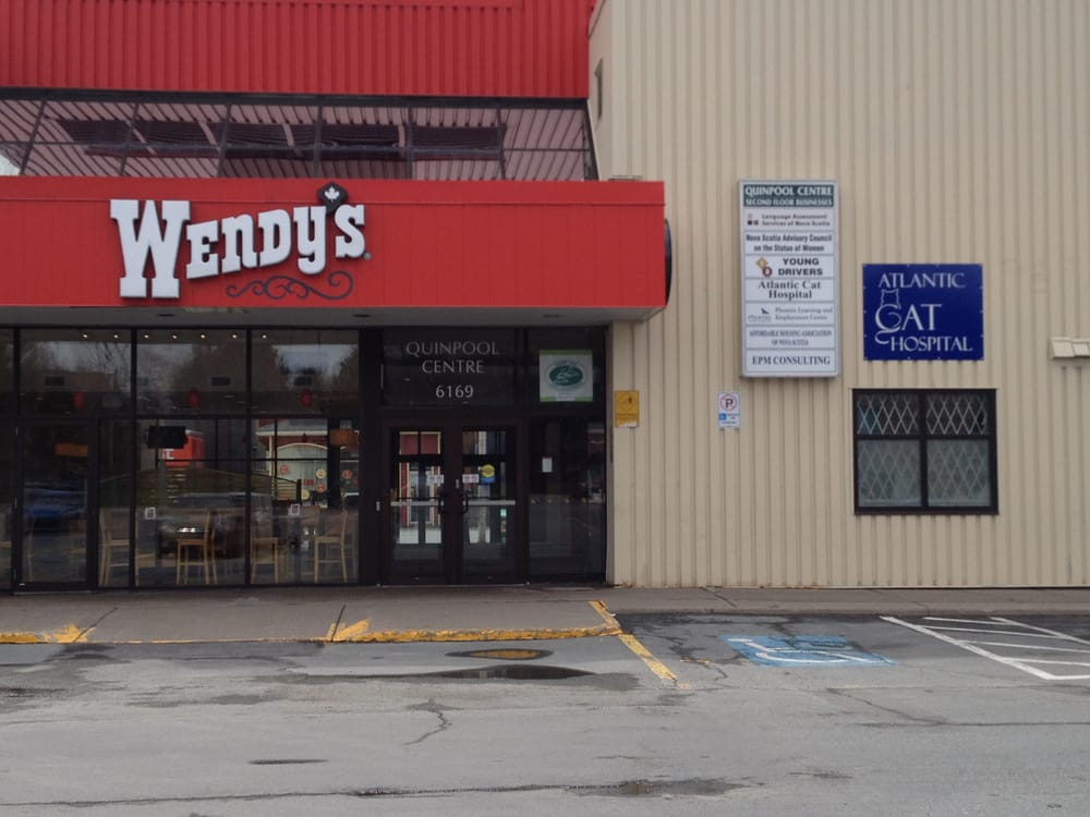 cat hospital quinpool