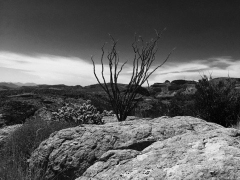Apache Trail by null