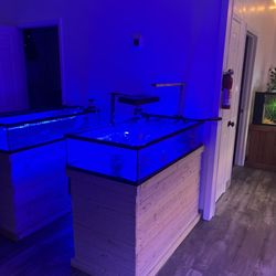 Angelo’s Tropical Fish World - Corral tanks will be ready soon!