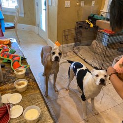 Providence Animal Hospital