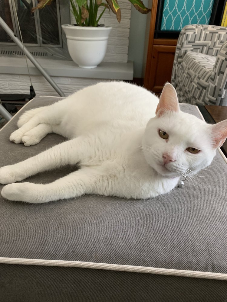 BEEBE MASSAGE THERAPY Updated 2024 902 Orchard Hill Rd, Zanesville