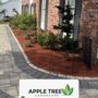 Apple Tree Landscape