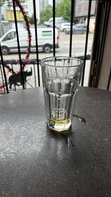 Woody's and SAILOR by null