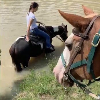 Loveland Ranch - Horseback Riding Near Me - Conroe, Texas