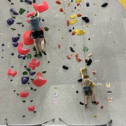 Fiddlehead Farm and Forest - Climbing gym