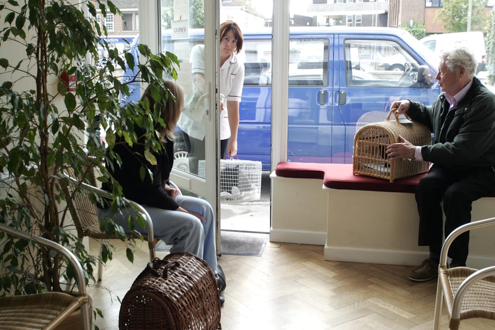 THE OXFORD CAT CLINIC Updated September 2024 78a West Way, Oxford