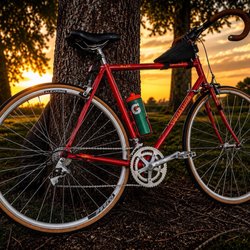 Sport Systems - Alex rims DA22
