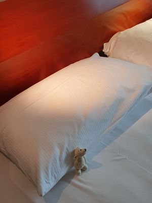 Radisson Blu Hotel Fürst Leopold, Dessau by null