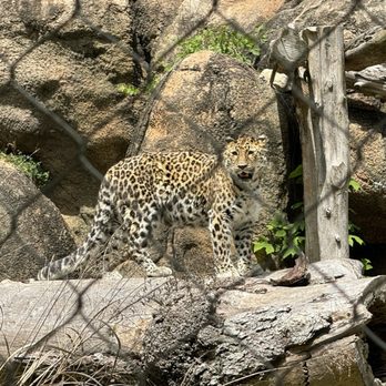 Maryland Zoo in Baltimore - Zoos Near Me - Baltimore, Maryland