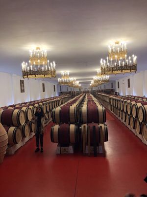 Château Pape Clément by null