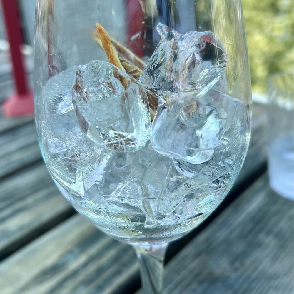 Darling Aviary - A bit too much ice in the cocktail - Bars Near Me - Sacramento, California