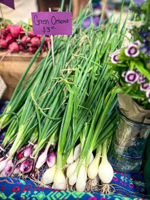 Greensboro Farmers Curb Market by null
