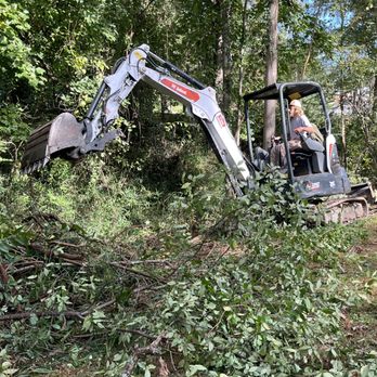 Db’s Landworks - Tree Services Near Me Db’s Landworks - Tree Services Near Me