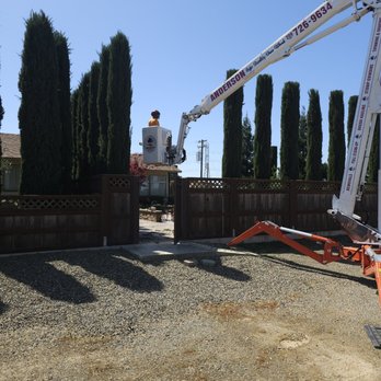 Anderson Tree Service - Tree Services Near Me Anderson Tree Service - Tree Services Near Me