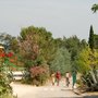 Photo of Camping des Albères