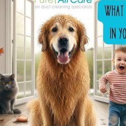 Pure Air Care - Is there a mysterious smell hanging around in your home? It might be time to give your air ducts some TLC!...
