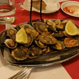 limpet / lapas