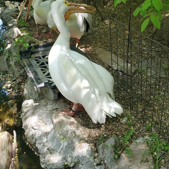 Idaho Falls Zoo - Zoos Near Me - Idaho Falls, Idaho Idaho Falls Zoo - Zoos Near Me - Idaho Falls, Idaho