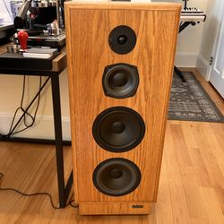 Everlast Speaker Repair
