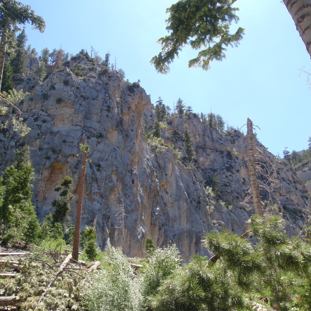 High canyon walls before getting to water. High canyon walls before getting to water.
