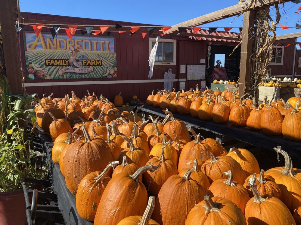 andreotti-family-farms-updated-august-2025-275-photos-50-reviews