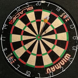Pig & Duke - Bullseye!