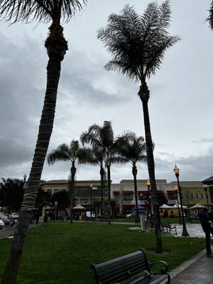 Evergreen Farmers' Market by null