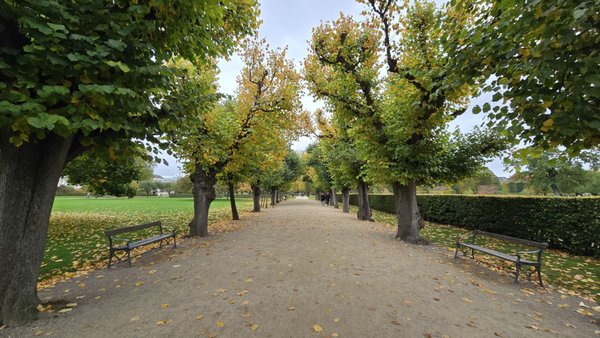 The King's Garden by null